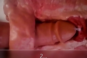Close up and internal view of anal dildo bonking